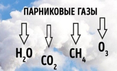 Изменения в критериях отнесения объектов НВОС к I, II, III и IV категории